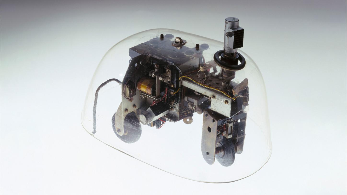 Robot turtle